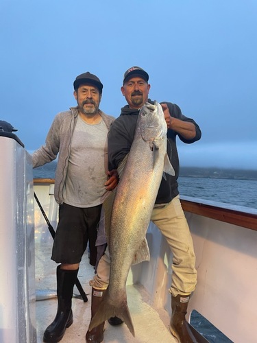 Mirage Sportfishing Oxnard Ca